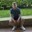 Pokemon Go Pokeballs Hacking